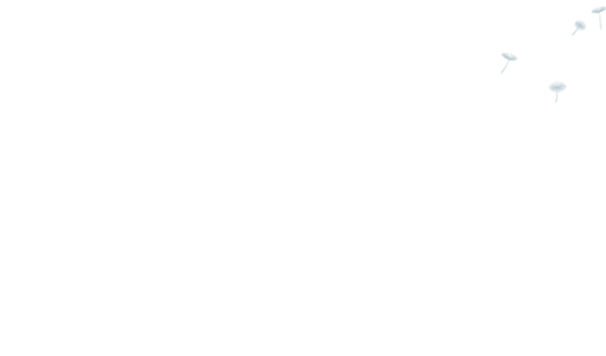 pralnia dmuchawiec logo